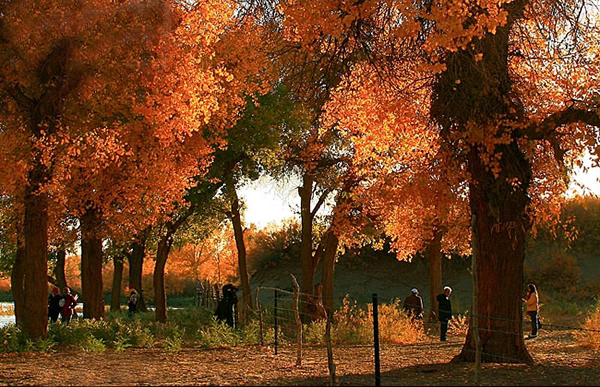 �������´������ͼƬ