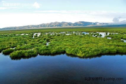 �й�������ʪ�ش��ԭ������