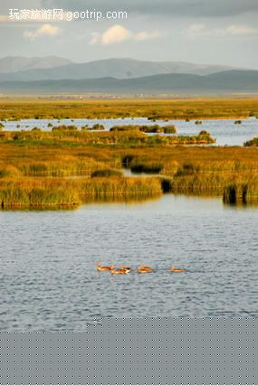 �й�������ʪ�ش��ԭ������