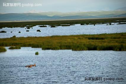 �й�������ʪ�ش��ԭ������