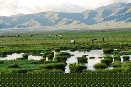 �й�������ʪ�ش��ԭ������