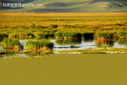 �й�������ʪ�ش��ԭ������