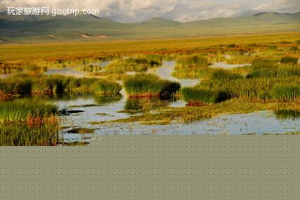 �й�������ʪ�ش��ԭ������