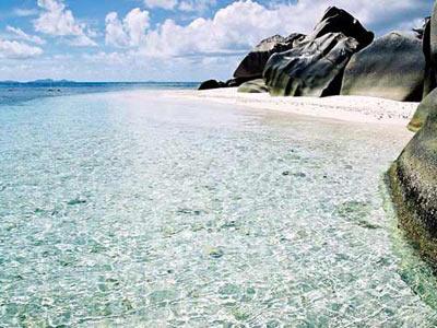 ��Ʒ������