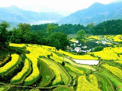 淳朴的田园气息