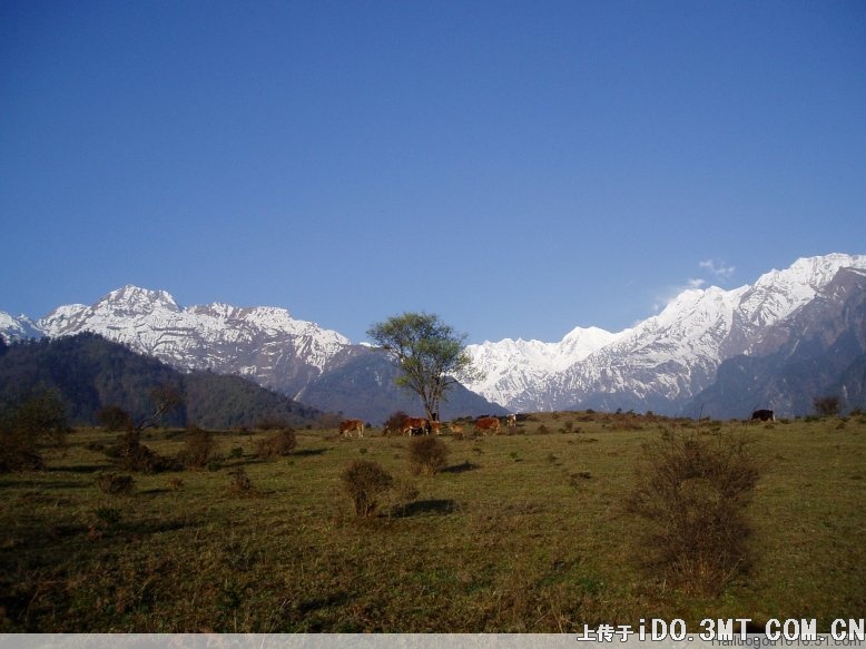 美色的诱惑 不看后悔一辈子(图)