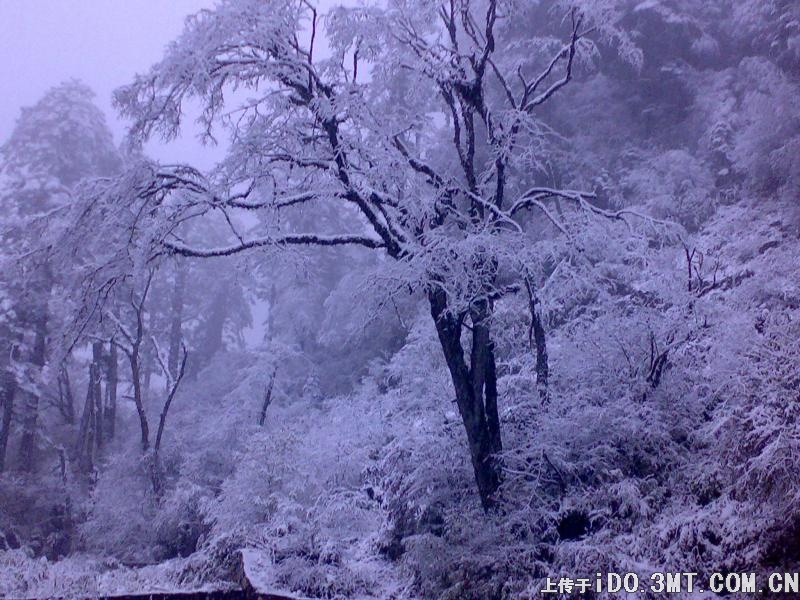 美色的诱惑 不看后悔一辈子(图)