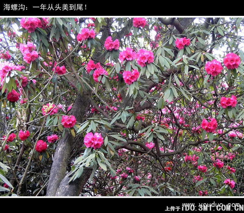 美色的诱惑 不看后悔一辈子(图)