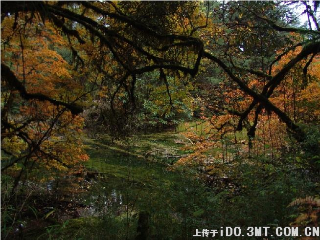 美色的诱惑 不看后悔一辈子(图)