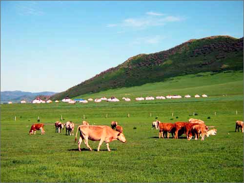 最“漂亮”的草原