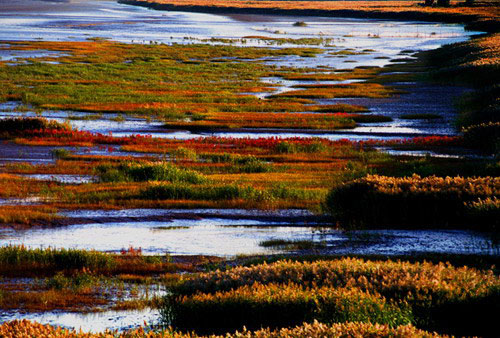 最“湿润”的草地