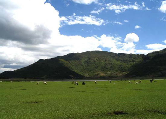最“豪华”的草原