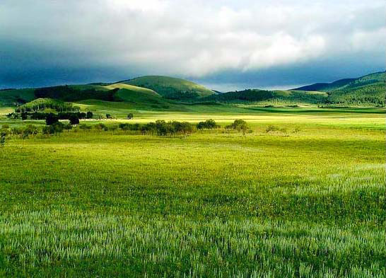 最“典型”的草原