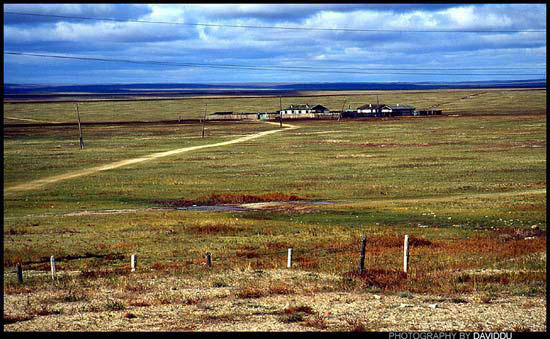 最“干旱”的草原