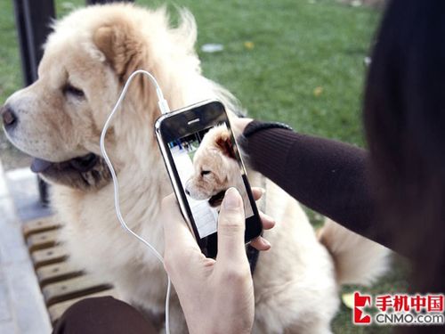 进步势不可挡 09预见未来手机十大趋势