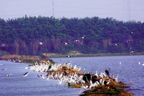 最风月 南沙海面