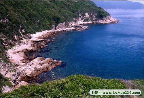 NO.5�����ŵ�