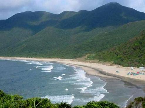 NO.1���ɰ���