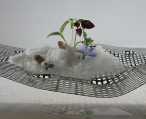 ��������������ķ�����ʳ����