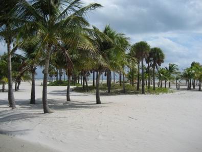 �����ǹ�԰��̲