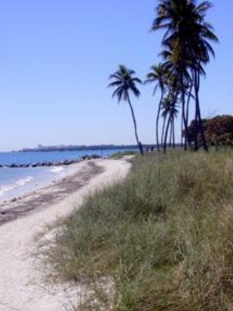 ��������Key��̲