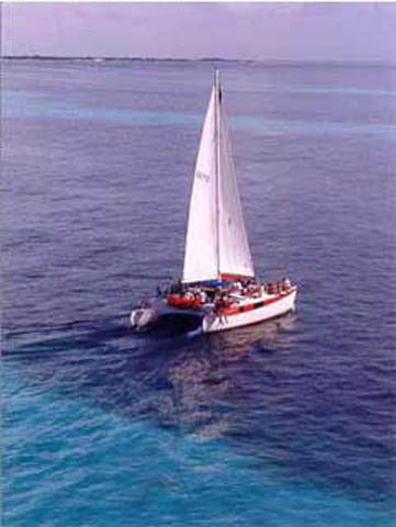 ���˶���̲ ī���� ������