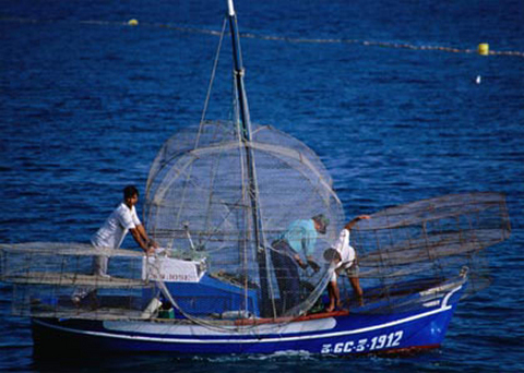 ������Ⱥ�� ������ ŷ��