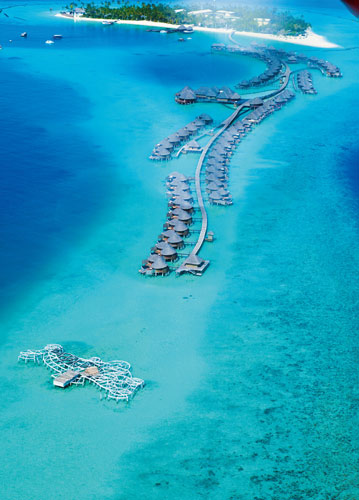 ��������ɫ����