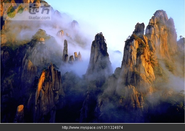 精品消费网 精品消费网