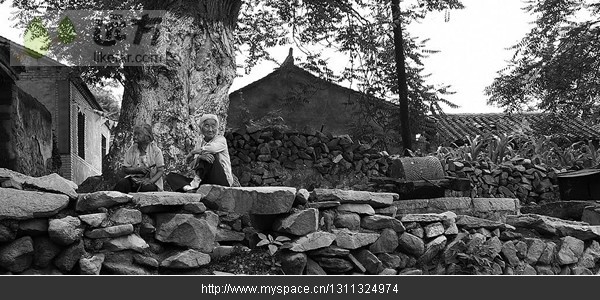 精品消费网 精品消费网