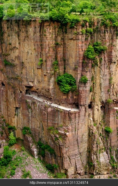 精品消费网 精品消费网