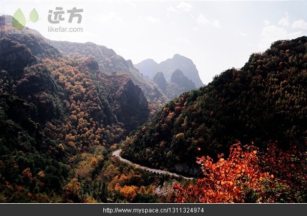 精品消费网 精品消费网