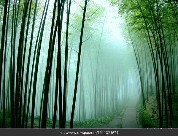 精品消费网 精品消费网