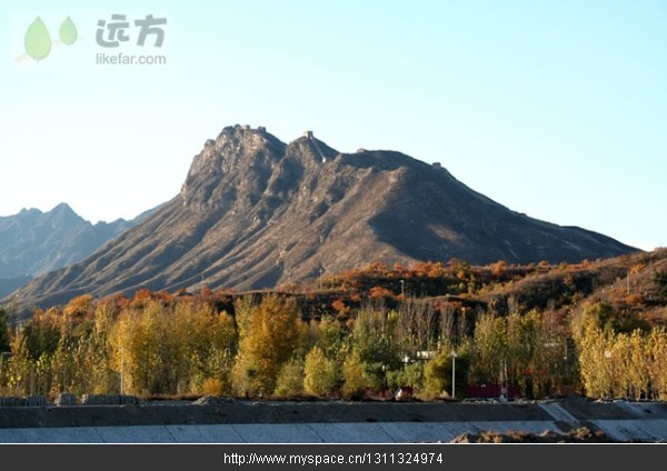 精品消费网 精品消费网