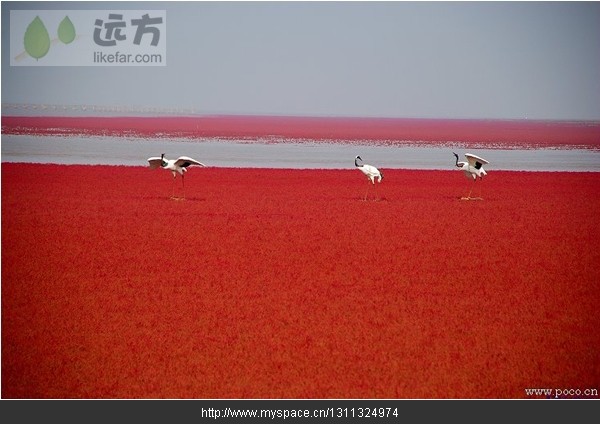 精品消费网 精品消费网