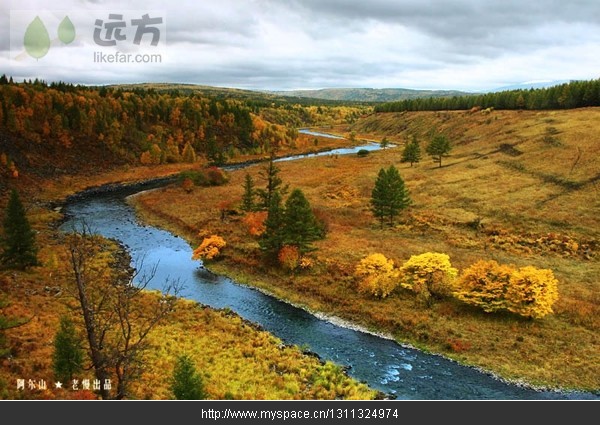 精品消费网 精品消费网