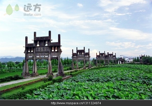 精品消费网 精品消费网