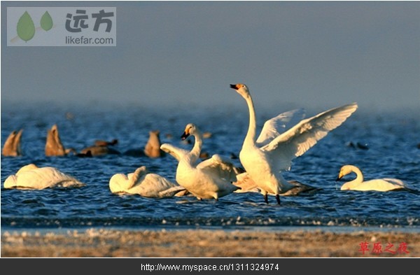 精品消费网 精品消费网