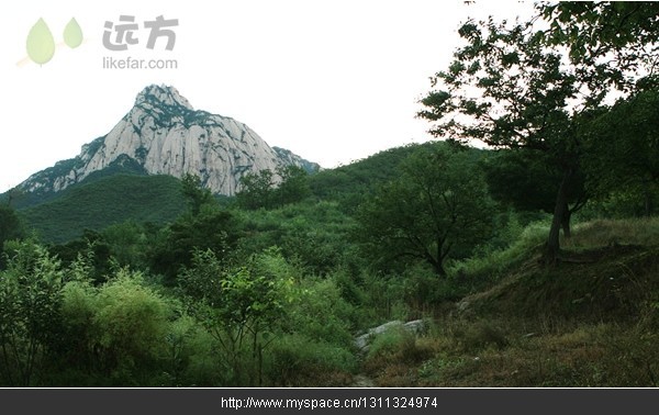 精品消费网 精品消费网