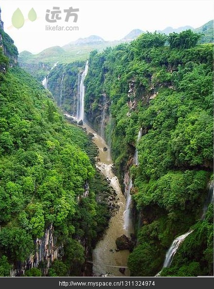 精品消费网 精品消费网