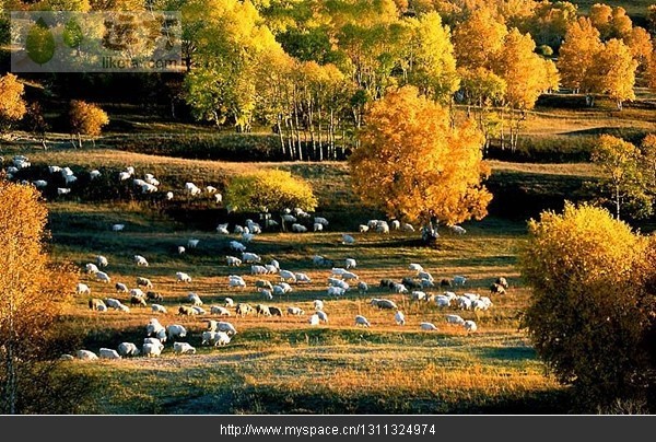 精品消费网 精品消费网