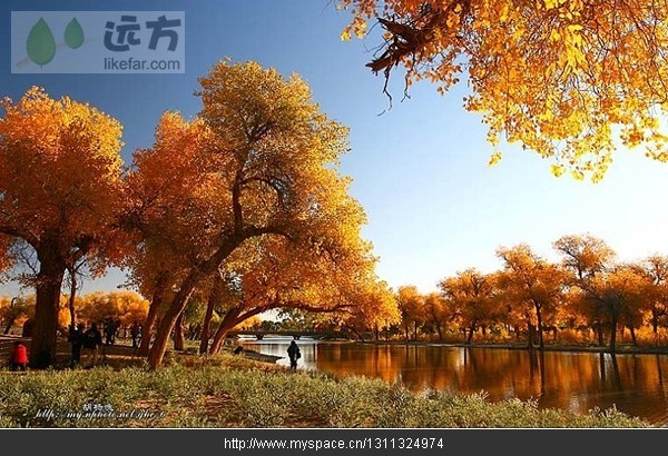 精品消费网 精品消费网