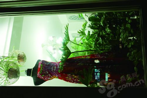 ��Ʒ������ͼ