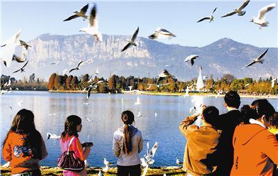 ��֦������ʱ��-����