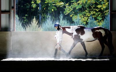 �����������ֲ����̵�