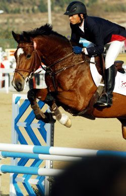 �����������ֲ����̵�