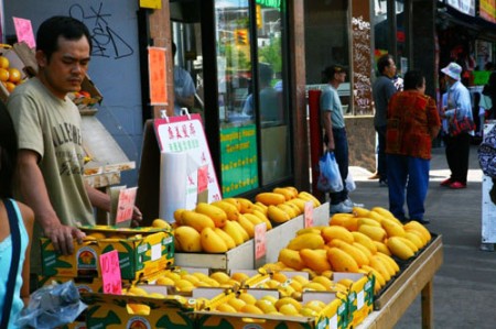 ���׶����˽�