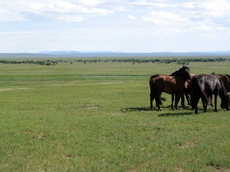 曾经辉煌与风光 命途各异的世界八大皇宫(组图) - 齐鲁小农 - 齐鲁小农的图库 曾经辉煌与风光 命途各异的世界八大皇宫(组图) - 齐鲁小农 - 齐鲁小农的图库