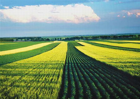 点击图片进入下一页