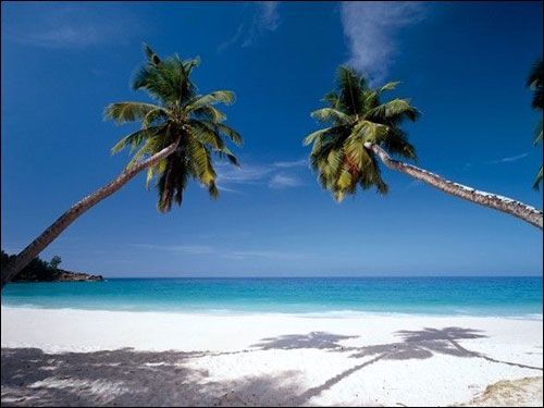 ���Ծ�����Ȼ��� �����ߴ���������(��ͼ) - ����ˮů - ����ˮů